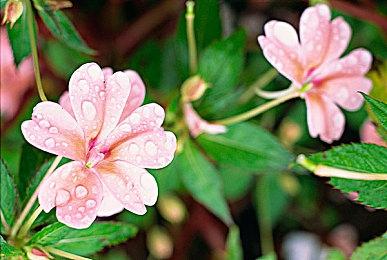 VRES柳州站圆满结束！GTY斩获区域冠军